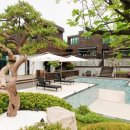 클럽타피올라 이미지