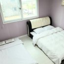 제주아이노스 이미지