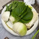 여수수산 | 수완지구 푸짐한스끼 제철 해산물하모샤브샤브 맛집후기 [여수회수산]