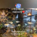 여수울로15번길 이미지