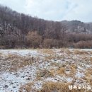 연곡리 농장 이미지