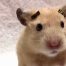 로즈F&B | 260201_어라 실수로 와버렸다