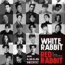 화이트래빗 이미지