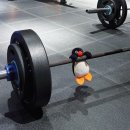 BBK camp | 🏋️‍♀️ 동래 피트니스 🏋️‍♀️