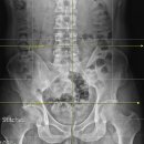 밸런스EM의원 이미지