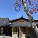 화양연화별관 | 광주 근교 순창 한옥 감성 카페 추천, 화양연화 내돈내산 후기