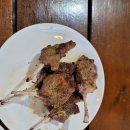 핑코하우스 이미지