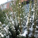 비치웨이 이미지