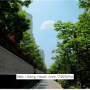 도곡세탁소 이미지