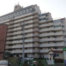 밝은채약국 이미지