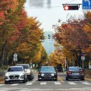 강서로 68길 이미지