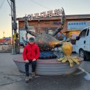 동제농장 | 서해랑길 101코스,외포리~곤룡버스정류장 (2023.1.9)