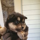 당북초등학교 이미지