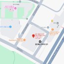 골든튤립인천에어포트호텔 | 인천 골든튤립 인천공항 호텔 숙박 후기(인천공항 근처 호텔 추천, 셔틀버스) 💙