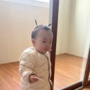 무화토퍼