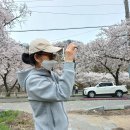 용연사길 이미지