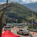 황금사슴농장 이미지