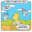 발길 닿는 대로 어디든