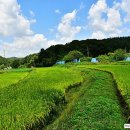 비암농장 이미지