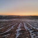 일출 난 농원 이미지