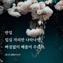 일심 이미지