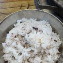 또순이네 이미지