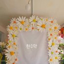 퀸플로리스