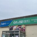 초지 359 이미지