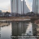 하천(쌍개울천) 이미지