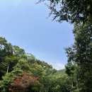 거제자연휴양림 | 경남 산책하기 좋은 거제 자연휴양림 주차공간