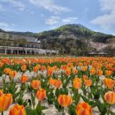 봉화정자문화생활관 이미지