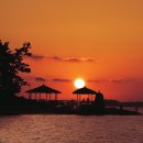 돌머리 696 이미지