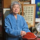 홍염장(무형) 네이버블로그