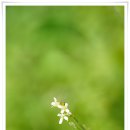 수산리-17 이미지