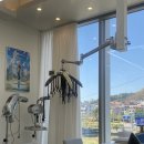 대로(보)2-1-2 | 퍼스널컬러 염색 잘하는 창원 중동 미용실 보하비헤어 창원중동점