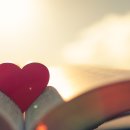 page Turner books
