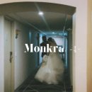 이마트24진주동방호텔점 | 스냅은 없.었.다!] 경남 진주 동방호텔 웨딩 본식스냅 몽끄라에 스냅 진주 아이폰스냅 결혼식 결혼정보...