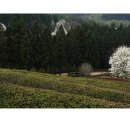 다원발전소 이미지