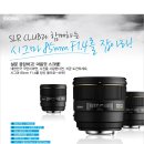 여행의 친구 시그마 85mm F1.4 랜즈 한번 챙겨 봅시다...! 이미지