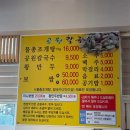 남구묘역 | 부산 유엔기념공원 겹벚꽃 개화 상황(+공원칼국수)