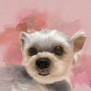 꿈꾸는화가미술학원 이미지