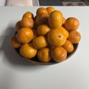 건이농장 이미지