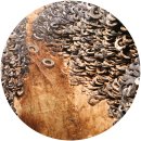 갑천자동차공업(주) | 버틴스키 Burtynsky 사진전: 추출/추상 @ 서울역사박물관 전시