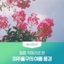 인천향교 앞 비석군 이미지