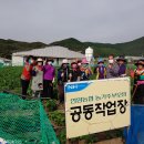 언양농협