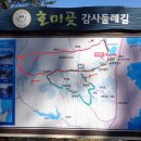 수련원길 이미지