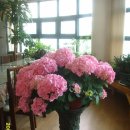 열미리보건진료소 이미지