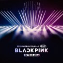 매일월드투어 이미지