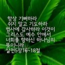 연수얼음