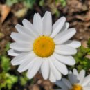 이일공인중개사사무소 이미지